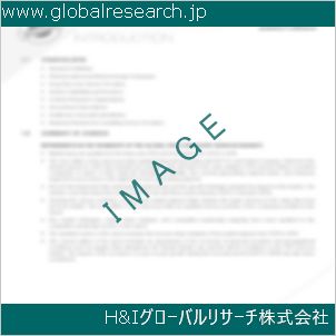 グローバルリサーチ調査資料のイメージ